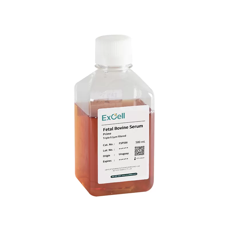 Fetal Bovine Serum (Prime) FSP500