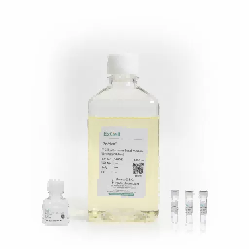 OptiVitro® T Cell Serum-free Medium (phenol red-free)