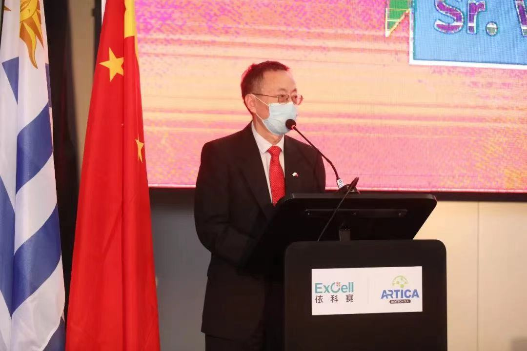 The Inauguration Ceremony of Ecosale Group's New Plant in Uruguay, South America, Artica, Was Successfully Concluded