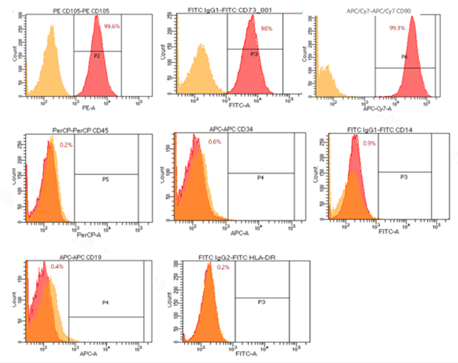 Среда MSC, не содержащая сыворотки, MH01
