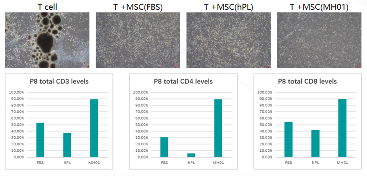 Среда MSC, не содержащая сыворотки, MH01