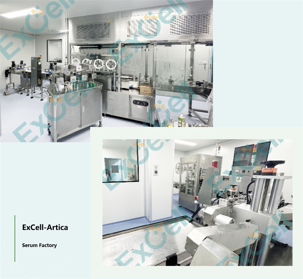 Культуральная среда Excell Bio T Cell, не содержащая сыворотки, помогает клиентам успешно получить одобрение Fda на проведение клинических испытаний новых лекарственных средств (Ind) Культуральная среда Excell Bio T Cell, не содержащая сыворотки, помогает клиентам успешно получить одобрение Fda на проведение клинических испытаний новых лекарственных средств (Ind)