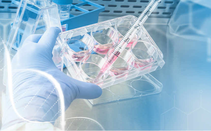 Среды для клеточной терапии