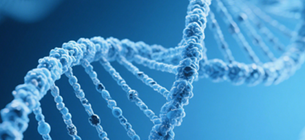 Обеспечение качества: Контрольный список требований к квалификации поставщиков для поставщиков материалов GMP