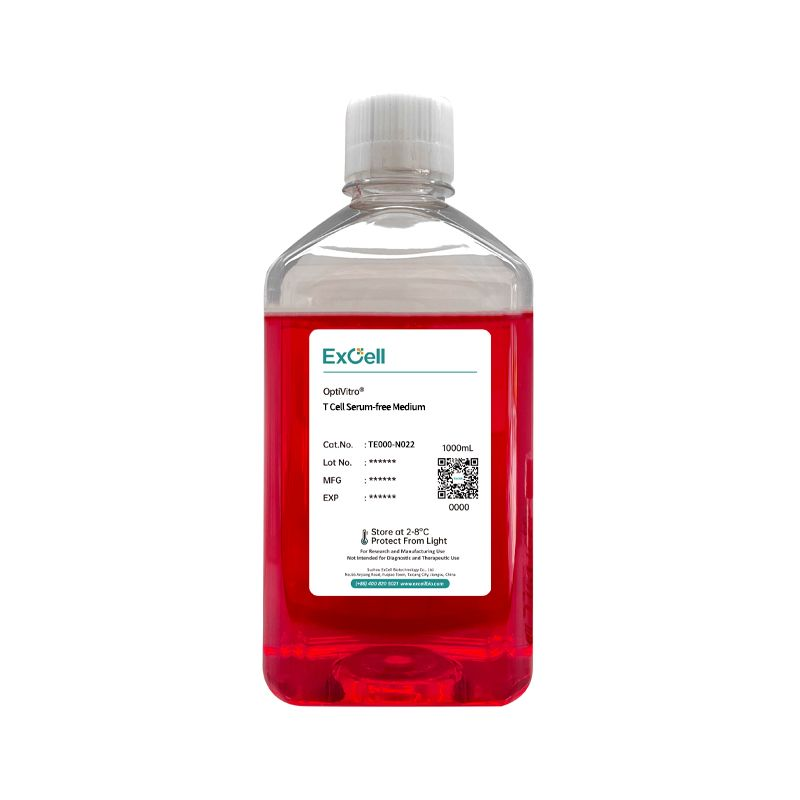 Оптимизация культивирования Т-клеток: рекомендации по приему L-глютамина