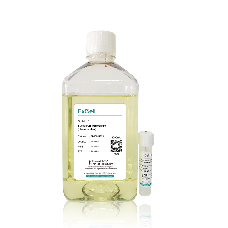 Оптимальная настройка 2-меркаптоэтанола для оптимального роста Т-клеток