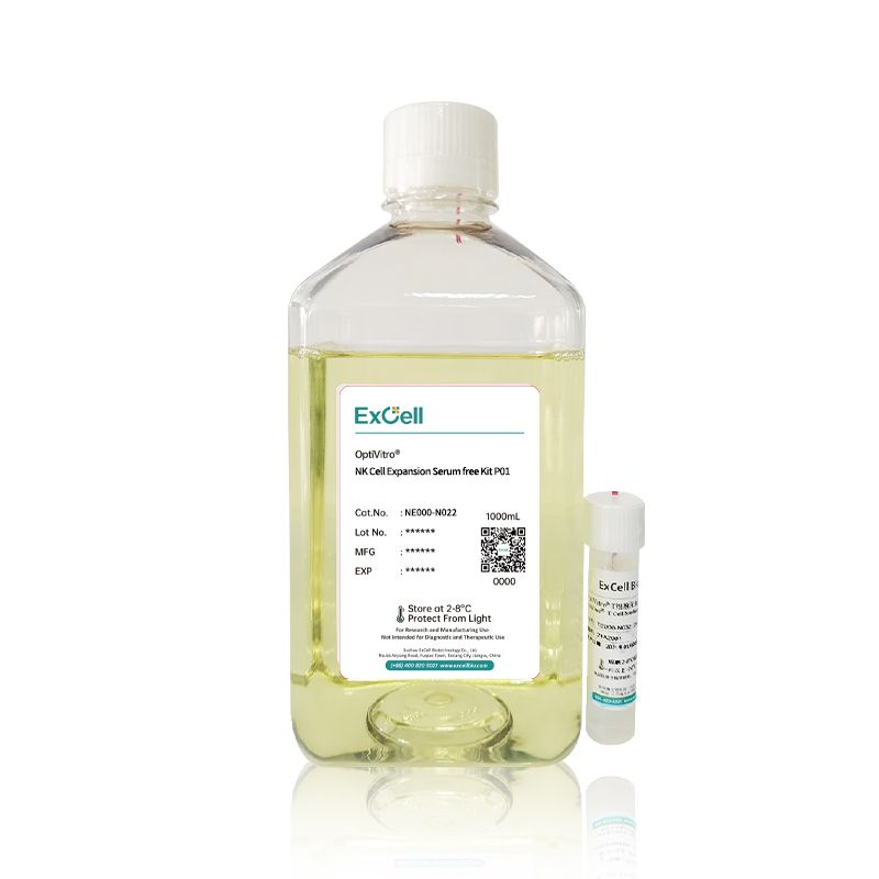 Понимание роли IL-15 в питательных средах для NK-клеток для улучшения клеточной терапии