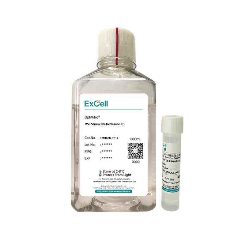 Разработка среды для МСК: оценка базальной и полной систем