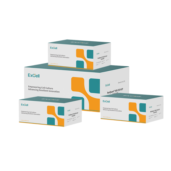 изображение.png изображение.png