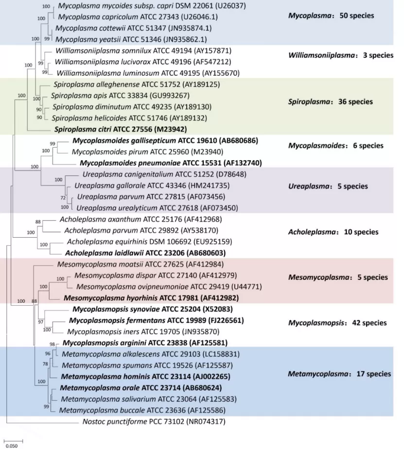 Как сдать анализ на Mycoplasma Pneumoniae
