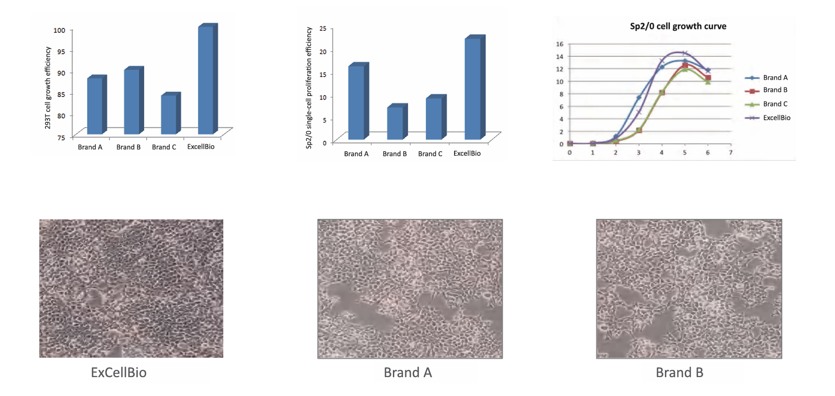 屏幕截图 2026-01-30 152303.png