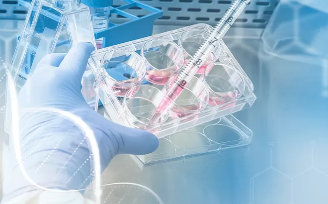 Какие услуги технической поддержки ExCell Bio предоставляет своим клиентам?