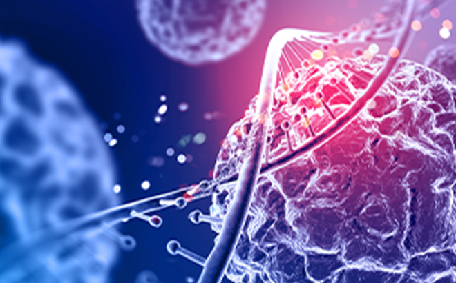 Как ExCell Bio обеспечивает согласованность в разных партиях питательных сред?cid=23