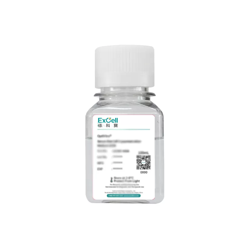 Как среда, не содержащая сыворотки, улучшает консистенцию и безопасность продукта?