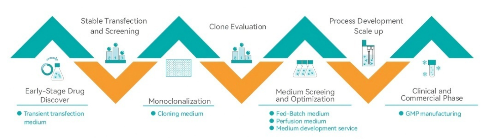 Что означает CHO в микробиологической селективной среде?cid=23
