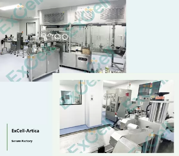 Культуральная среда Excell Bio T Cell, не содержащая сыворотки, помогает Клиентам успешно получить одобрение Fda на проведение клинических испытаний нового лекарственного препарата (Ind)