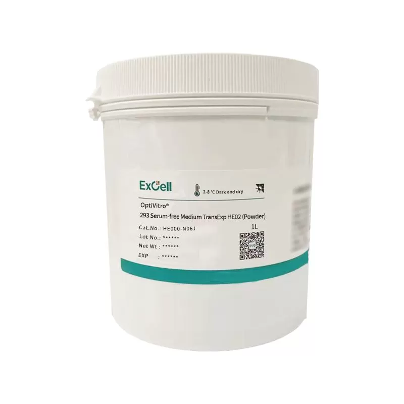 Как оптимизированные среды HEK293 влияют на эффективность культивирования клеток в будущем