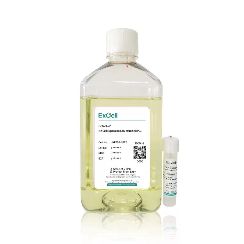 Изучение влияния глюкозы на производительность NK-клеток в культуре