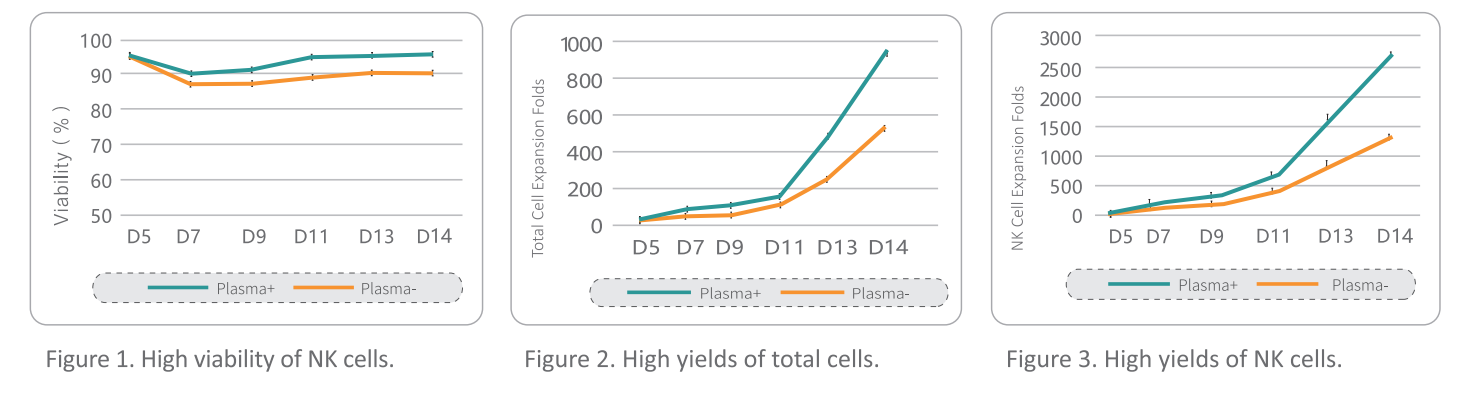 Процесс разложения NK-клеток