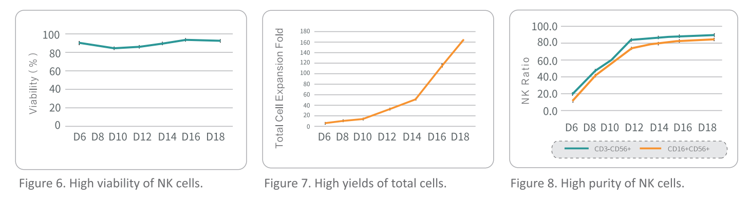 NK-клетки высокой чистоты